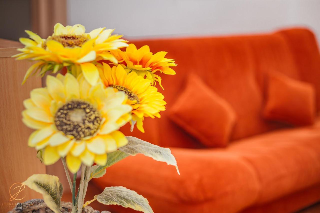 Apartments Batricevic تْشيرسيك نوفي المظهر الخارجي الصورة
